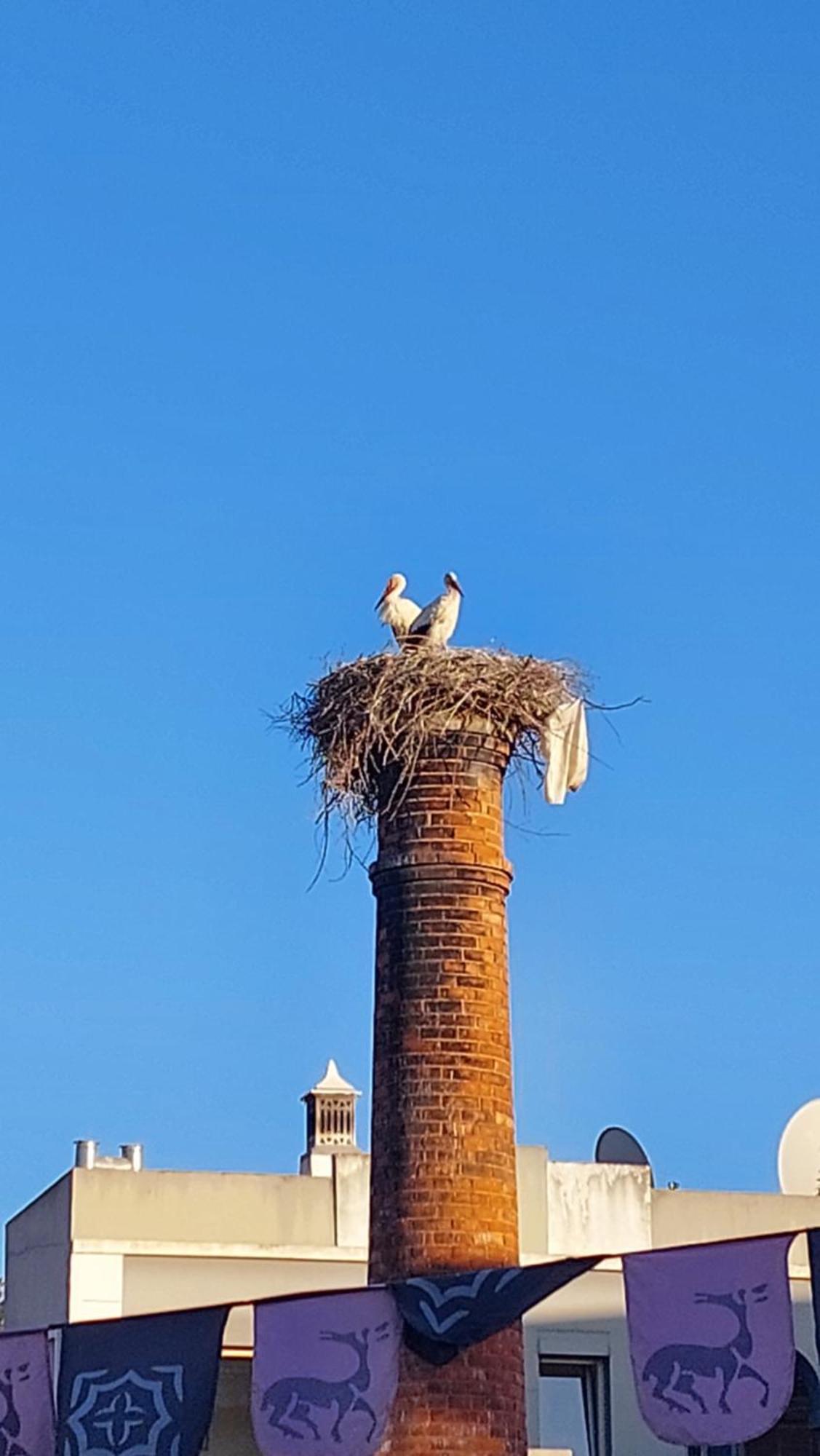 "Oliveiras" Appartement Typique Avec Terrasse Et Piscine Loulé Extérieur photo