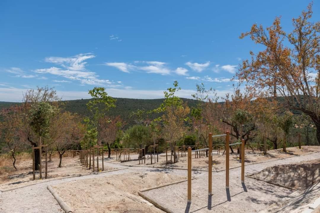 "Oliveiras" Appartement Typique Avec Terrasse Et Piscine Loulé Extérieur photo